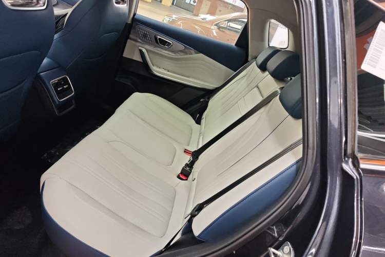 Used  Zhuifeng C-DM 2023 1.5 TCI-DHT 80KM "Chengfengqi" Edition