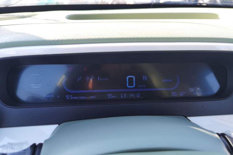 Used  Panda 2025 210km Panda Rider
