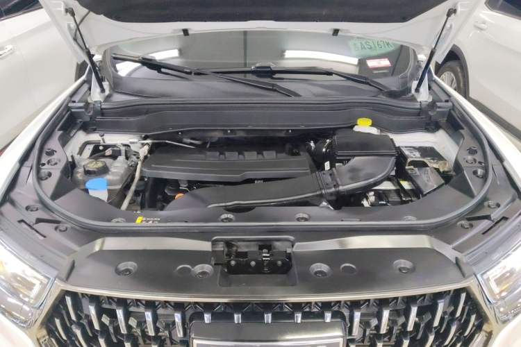 Used Haval H6 2023 National Trend Edition 1.5T Automatic Urban Version
