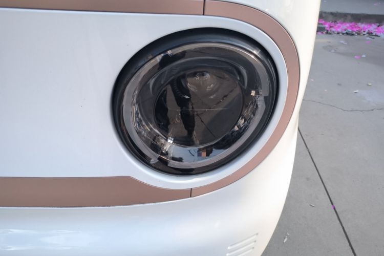 Used  Panda 2023 Panda Mini 200km Endurance Bear
