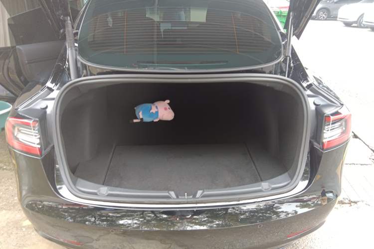 Used Tesla Model 3 2021 Standard Range Rear-Wheel Drive Upgraded Version 3D6
