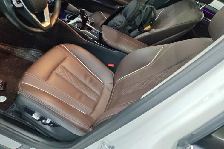 Used BMW 5 Series 2019 530Li Leading Model Luxury Package