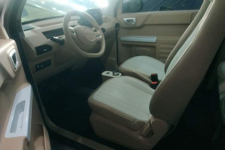 Used  Panda 2023 Panda Mini 200km Dynamic Bear