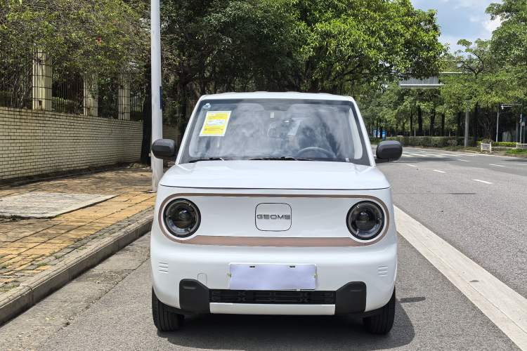Used  Panda 2024 Panda Mini 200km Endurance Bear