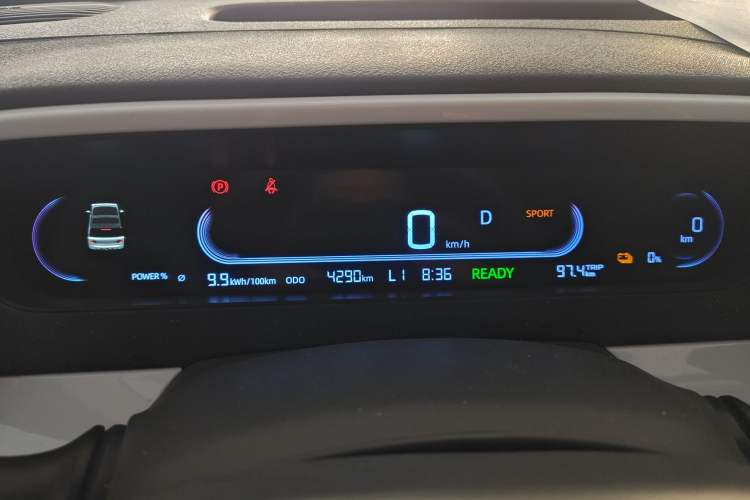 Used  Panda 2025 210 km – Yuanqi Bear