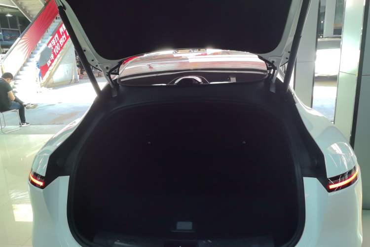 Used  06 2025 Ultra Pure Electric Edition