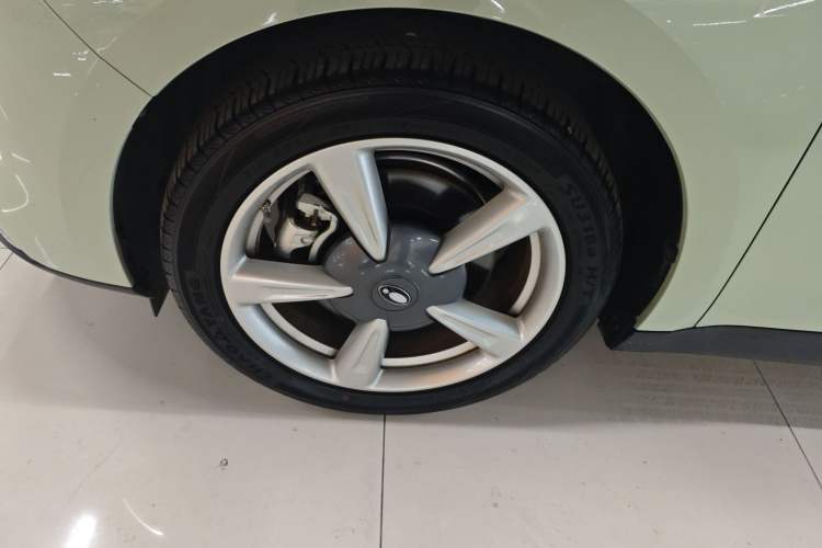 Used ORA Good Cat 2023 401 km Standard Range Luxury Version Lithium Iron Phosphate
