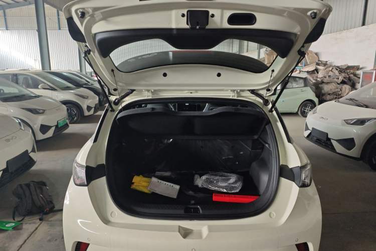 Used BYD Dolphin 2025 420km Free Edition
