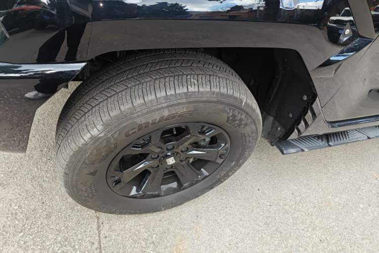 Used Tank 400 2025 2.0T Gasoline Version
