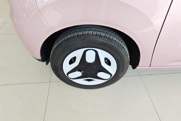 Used  Panda 2025 210 km – Yuanqi Bear