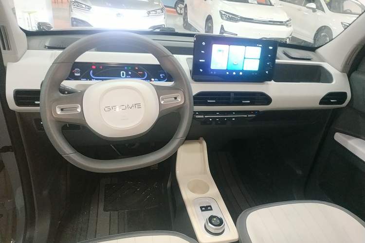 Used  Panda 2024 200km Panda Kart
