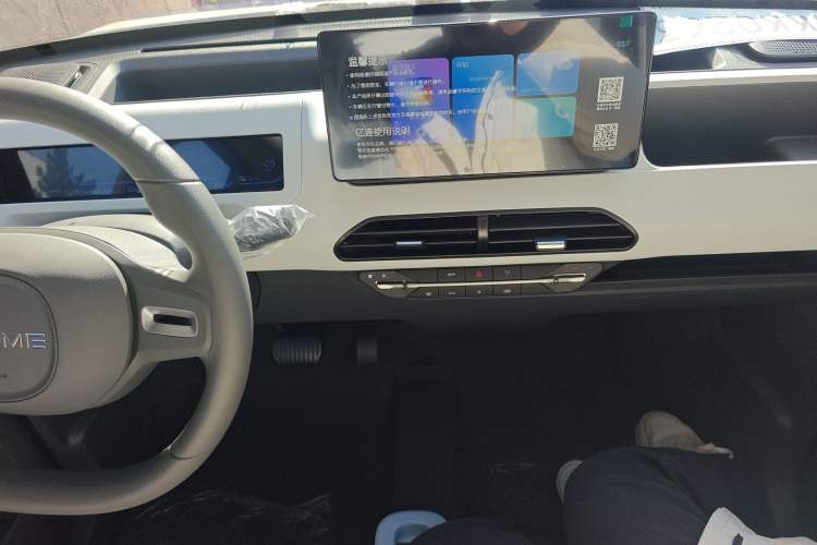 Used  Panda 2024 Panda Mini 200km Endurance Bear
