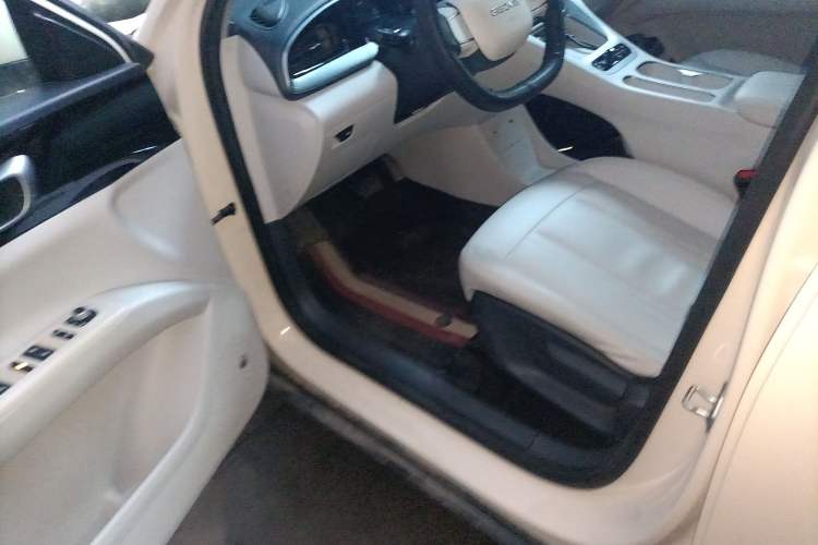 Used  Geome 2025 310km Youth Edition
