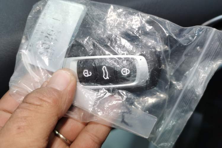 Used  Panda 2025 210 km – Yuanqi Bear