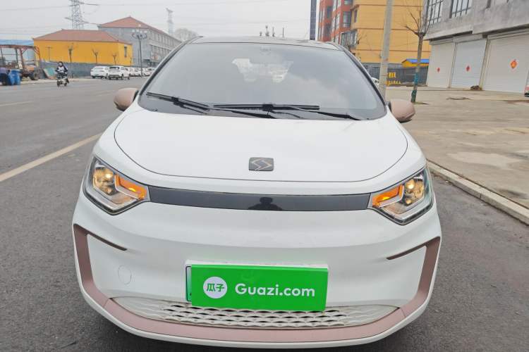 Used SOL E10X 2022 Flower Fairy Style Baby's Breath