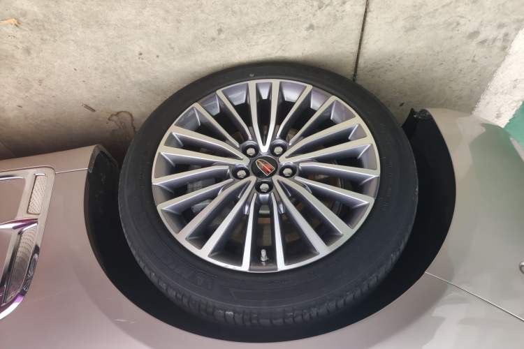 Used Hongqi H9 2020 2.0T Smart Connect Flagship Edition