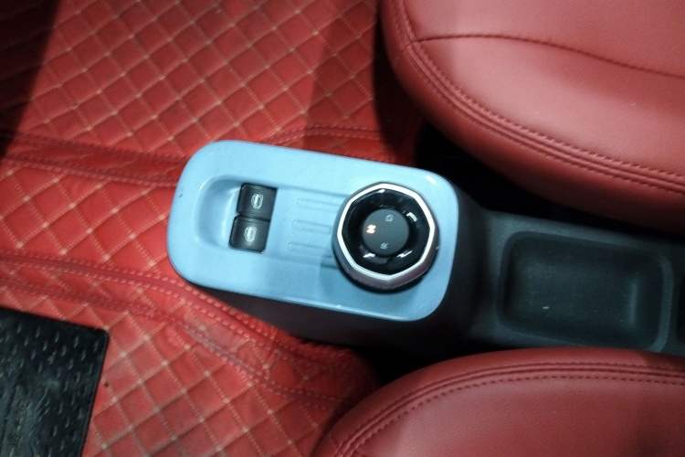 Used  Panda 2023 Panda Mini 200km Dynamic Bear
