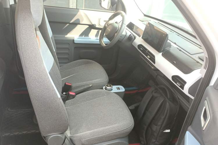 Used  Panda 2024 Panda Mini 200km Endurance Bear
