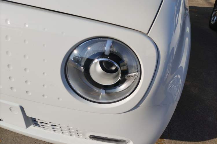 Used ORA Black Cat 2021 351 km Standard Version