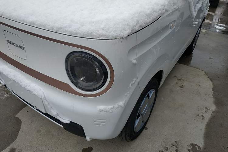 Used  Panda 2024 Panda Mini 200km Endurance Bear
