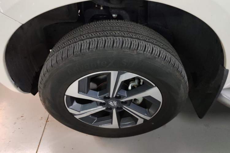 Used Dongfeng Fengdu Paladin 2023 2.0T Four-Wheel Drive Luxury Edition
