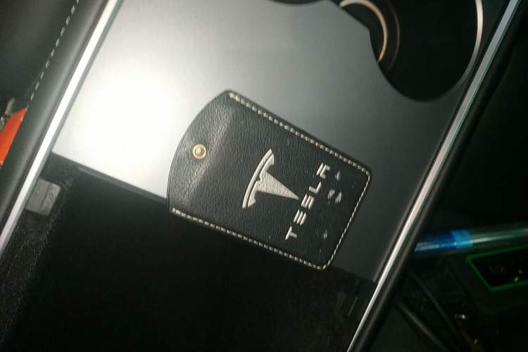 Used Tesla Model Y 2021 Long-Range All-Wheel-Drive Version 3D7
