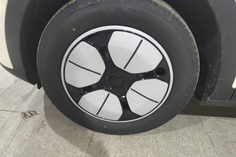 Used  Geome 2025 310km Youth Edition
