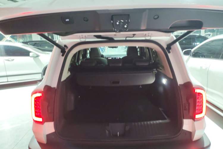 Used Haval DARGO 2021 2.0T DCT 4x4 Chinese Rural Dog Edition
