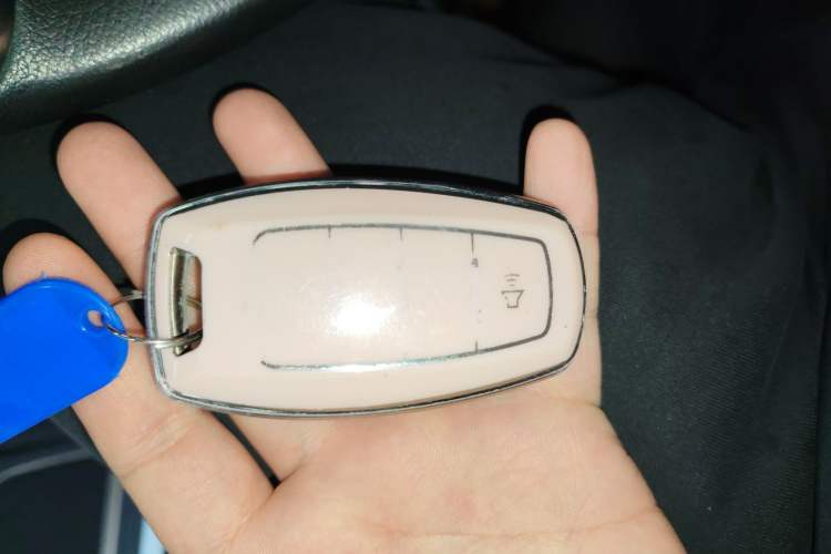 Used Haval H6 2020 2.0 GDIT Automatic Platinum Champion Edition
