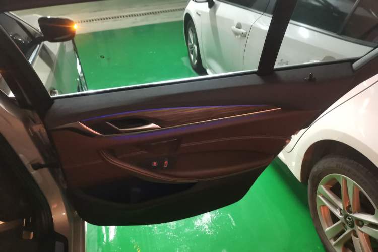 Used BMW 5 Series New Energy 2019 530Le Luxury Package