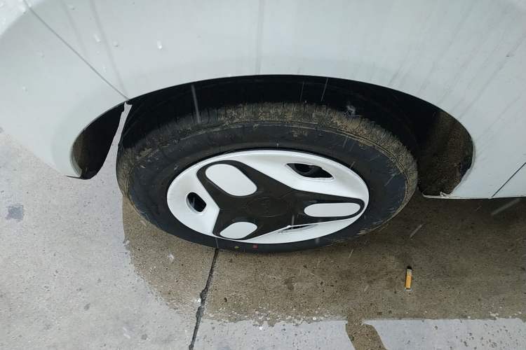 Used  Panda 2025 210 km – Yuanqi Bear
