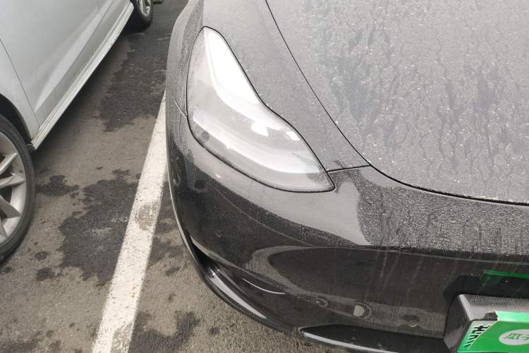 Used Tesla Model Y 2023 Rear-Wheel-Drive Version