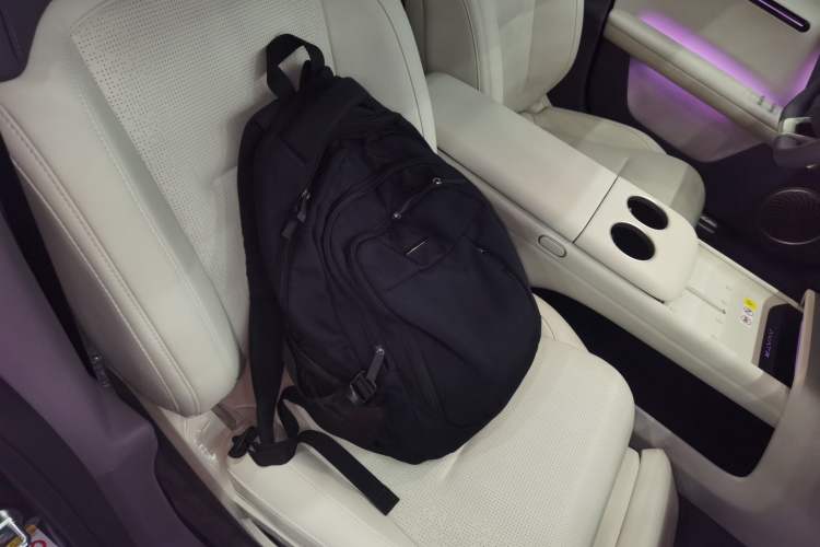 Used  06 2025 Max All-Electric Version
