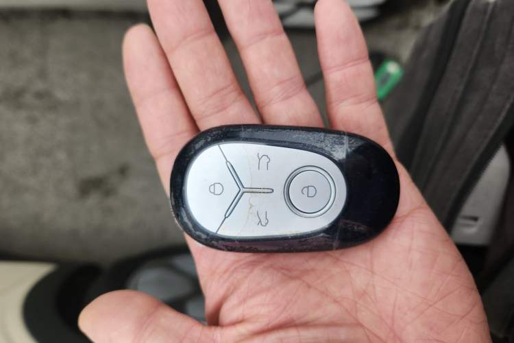 Used  Geome 2025 310km Youth Edition
