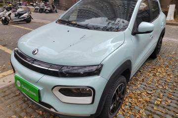 Used Dongfeng NAMMI EX1 2022 PRO Yuecheng Model