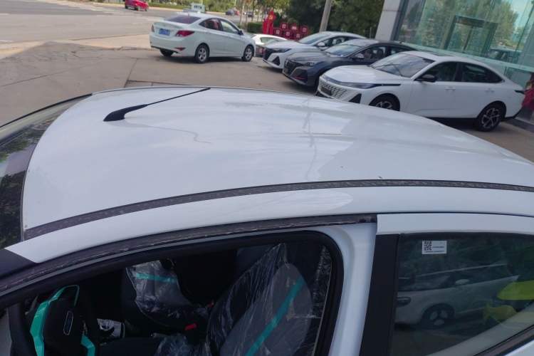 Used JMEV  2024 201km Comfort Version
