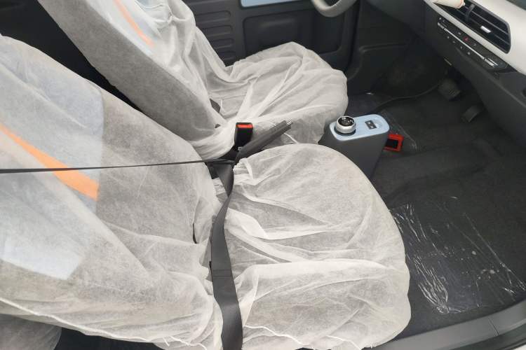 Used  Panda 2024 Panda Mini 200km Endurance Bear