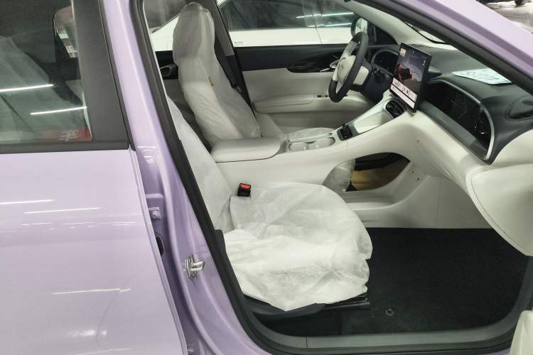 Used  Geome 2025 410 km Free Version
