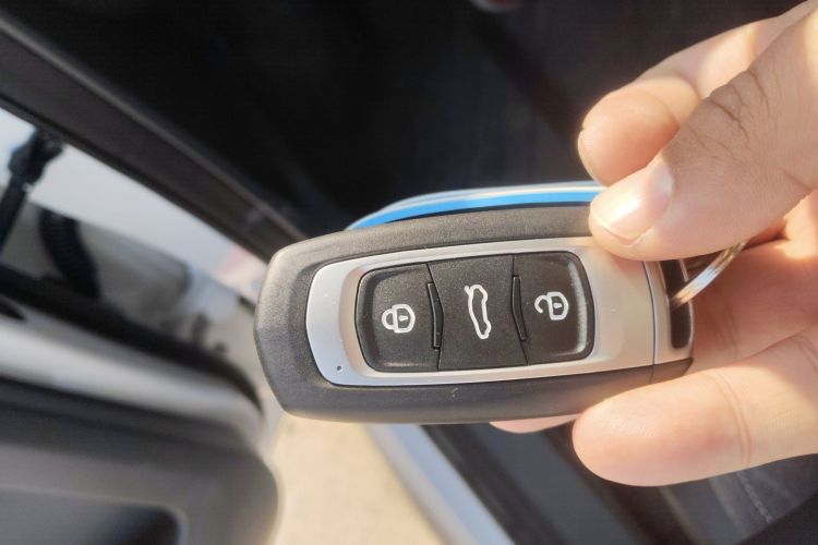 Used  Panda 2024 Panda Mini 200km Endurance Bear
