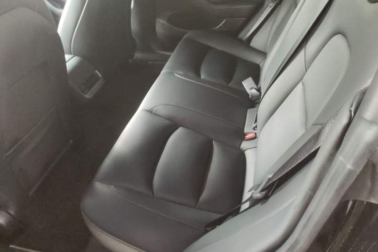 Used Tesla Model 3 2022 Rear-Wheel-Drive Version
