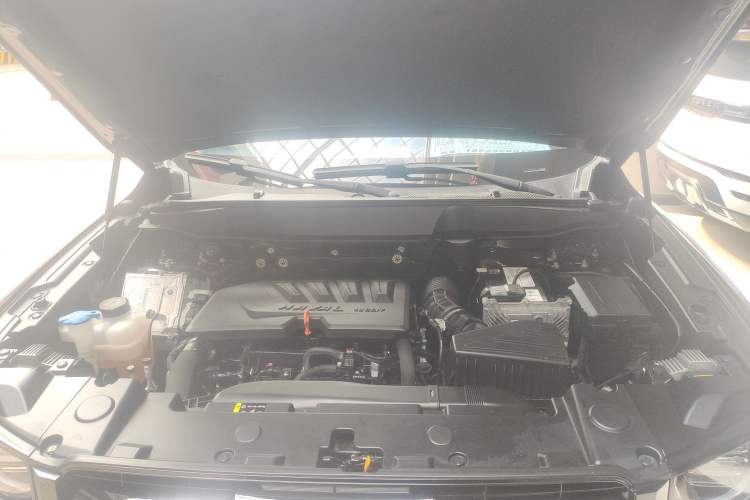 Used Haval DARGO 2021 1.5T DCT Two-Wheel Drive Labrador Edition
