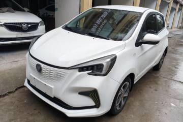 Used Oshan Benni E-Star 2020 Heart Edition Lithium Iron Phosphate (31.18 kWh)