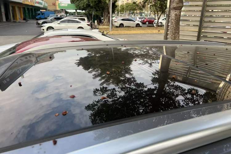 Used BYD Song Pro New Energy 2023 Champion Edition DM-i 110KM Excellence Model
