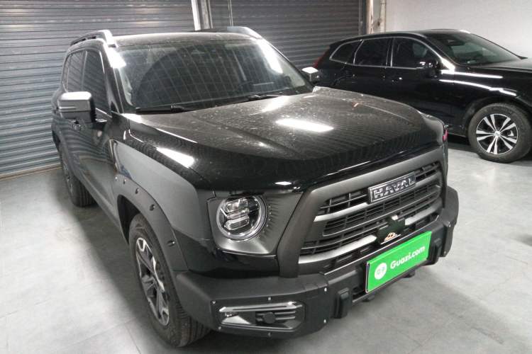 Used Haval DARGO 2024 2.0T DCT Chinese Rural Dog Edition

