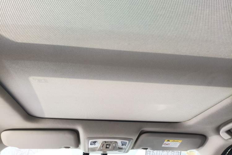 Used Venucia T60EV 2020 AI Enjoyment Model
