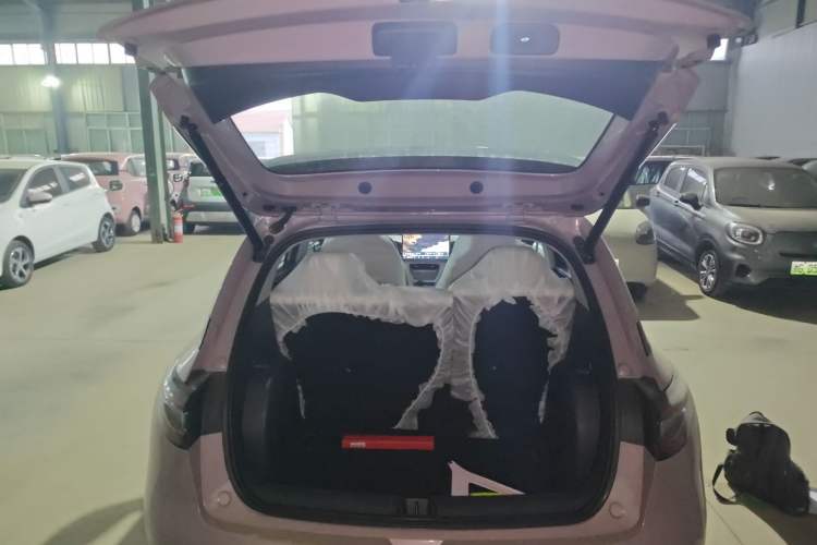 Used  Geome 2026 Model 310km Dream Edition