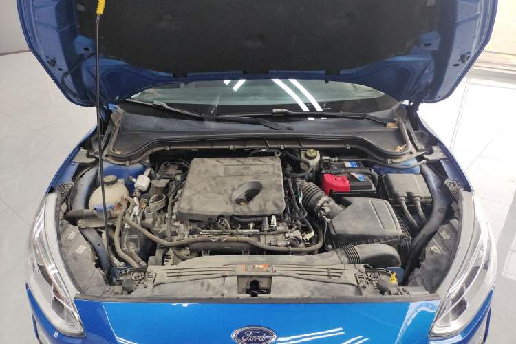 Used Ford Focus 2019 Hatchback EcoBoost 180 Automatic Trendy Model
