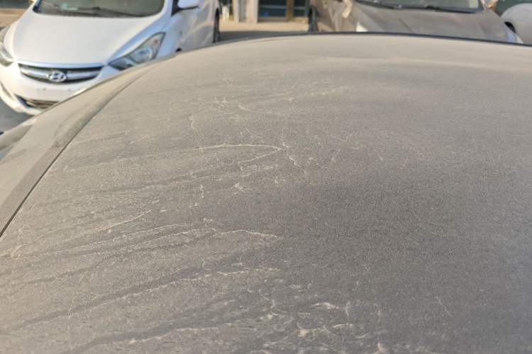 Used SOL E10X 2022 Flower Fairy Design Dandelion