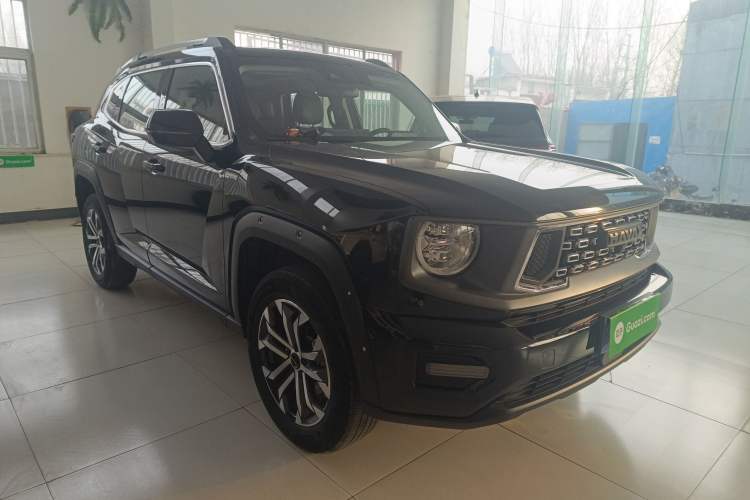 Used Haval H Dog 2023 2.0T Two-Wheel Drive Chaoye Version Plus