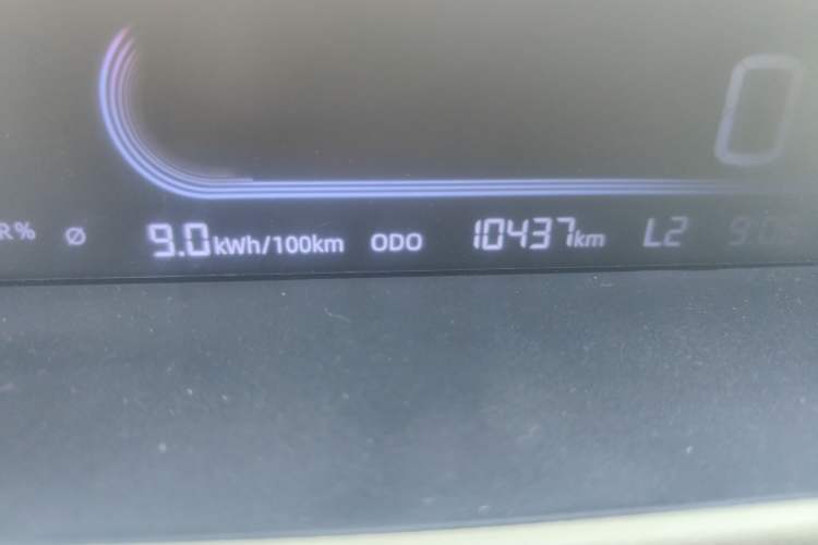 Used  Panda 2024 200km Panda Rider
